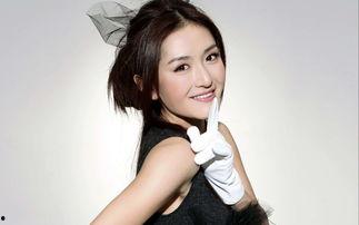 图片找明星,明星风采瞬间捕捉