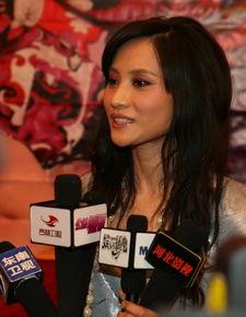 瑛侠个人资料,传奇武侠世界中的英勇剑客